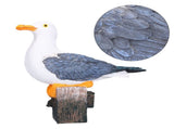Seagull Figurine Decorations Cute Appearance Vivid Lifelike Exquisite Workmanship Nautical Decor for V1294-YM0523-3115210231711