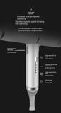 2000W Professional Ionic Hair Dryer with Diffuser Silver Purple V1263-JX-5617