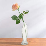 Stylish Clear Glass Fish Vase Aquarium for Home and Office Decoration, Transparent Elegant Fish V1366-AZ2-W-21458