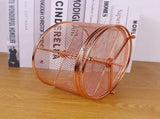 17x17x13cm Rose Gold Metal Mesh Desk Organizer Office Supplies Storage V1258-DP02-BOL-594
