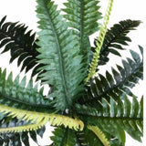 Artificial Dark Green Boston Fern 60cm V77-1890013