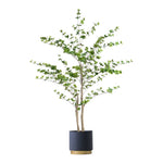 SOGA 180cm Green Artificial Indoor Watercress Tree Fake Plant Simulation Decorative APLANTFHCS1802