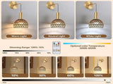 Battery Operated Wall Sconce Set of 2, Rechargeable Rattan LED, Remote, 3 Color Dimmable V1263-JX-5788