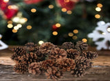 20Pcs Gold Pine Cones Decorations Gold Pinecones Ornaments with Pick for Craft Artificial V1370-AZ4-14926