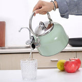Stylish Kettle, Stainless Steel Green, 19.5x17 Cm V1192-AZ-W-23842