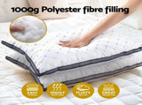 Giselle 2pcs Pillows Microfibre PILLOW-MICRO-4873X2