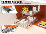 2 Tier Pull Out Cabinet Organizer 14"x21"x15" Heavy Duty Slide Out Pantry Shelves Steel Roll Out V767-VVR-HGS214W21D15H80OCV0