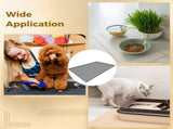 Pet Silicone Food Mat for Cat and Waterproof, Pet Placemat with Rim for Food and Water Bowls, V1369-AZ3-W-08679