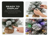 Christabelle 61cm 2ft Alpine Snow Potted Christmas Tree Pre Lit LED Pinecone Hessian Tabletop F 112_WFLAS2P