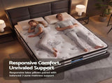 Giselle Queen 34cm 5-Zone Euro Top Pocket Spring Mattress with 2 Natural Latex Contour Pillows MAPI-0908-LT-CONTOUR-Q