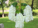 12 Pcs Artificial Wisteria Pure White Exquisite Simulated Wisteria Decoration for Weddings Outdoor V1294-YM0512-3115220116211