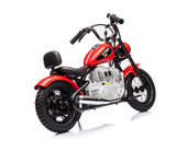 Single Rider Cruiser Bike 36V V377-364647