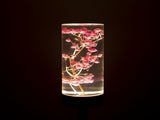 Gypsophila Paniculata Eternal Flower Acrylic Table Lamp - Color-Changing LED, USB Rechargeable, V888-ELOSUNG21685