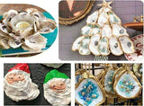 30 Pcs 2.4"-3.1" Small Flat Oyster Shells for Crafts, Natural Color Seashells Bulk, Sea Shells for V1370-AZ4-15767