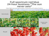 Grow Lights for Indoor Plants 360 LEDs Full Spectrum Red Blue Light Full Coverage 90&deg Collapsible V1294-YM0901-H48494