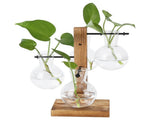 Innovative Hydroponic Vase with Wooden Stand Transparent Desktop Flower Vase for Home V1294-YM0714-3111210271911