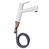 Kitchen Faucet with Pull Down Sprayer Copper 360 Degree Rotation Leakage Proof Single Handle V1294-YM0901-3112230060211
