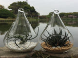 10 Pack of Hanging Clear Glass Tealight Candle Holder Tear Drop Pear Hour Glass Shape - 20cm High V382-TRDRPLGEX10