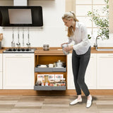 CARLA HOME 2 Pack Pull Out Cabinet Organizer Expandable for Cabinets with Adjustable Slide Out V178-36209