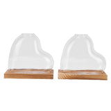 2PCS Propagation Vases Heart Shaped Glass Desktop Planter Plant Propagation Station for Small V1294-YM0901-3115260004711