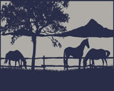 Ranch 5m x 2.4m recycled poly mat V941-RANCH5