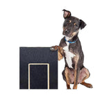 Dog Claw Training Board - File Trimmer Board, Trimming Board, Scratching Box, Sandpaper, Filing, V1237-ZY-203-0243