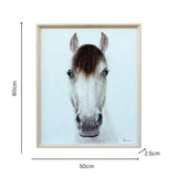 Horse Mugshot w Artificial Hair Framed Canvas Wall Art 60cm V637-95203HRS