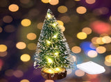 7PCS Christmas Decorations Mini Sisal Christmas Trees Pine Trees Ornaments with Lamp and Wooden Base V1294-YM0523-10322468