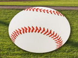 SWETRACE Exercise Baseball Training Balls Rubber 5 Pcs Indoor and Outdoor Practice V1189-LWWAL-20260327-03809