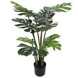 Split Philodendron Monstera Deliciosa 120cm V637-DP1089085