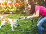 Dog Toys for Aggressive Chewers Tough Rope Chew Toys for Large and Medium Dog 3 Feet 5 Knots V1366-AZ2-W-24311