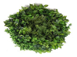 Slimline Artificial Green Wall Disc Art 80cm Mixed Green Fern & Ivy V637-DPN1112832