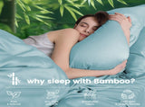 4 Piece Ultra Soft Bamboo Breathable Sheet Set -Hotel 2000TC Breathable Bed Sheets Set with 37 V1317-BAMBOO-AUQ-4JT-SKY-BLUE
