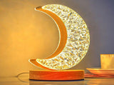 Table Lamp 3W Remote Control Warm Light Exquisite Look Timing Function USB Desk Lamp for Bedroom V1294-YM0901-3119240070211