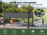 Green Fingers Mobile Raised Garden Bed With Wheels Storage Shelf 81cm Height for Vegetables Herb GARDEN-AG-PLAT-BK