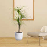 SOGA 150cm Artificial Dracaena Plant Fake Potted, Simulation Tree Fake Plant Home Decor APLANTFHL1504