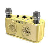 Wireless Bluetooth Karaoke Speaker with 2 Microphone Home KTV Set Gold V1263-JX-6966-3