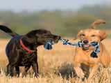 Dog Toys for Aggressive Chewers Tough Rope Chew Toys for Large and Medium Dog 3 Feet 5 Knots V1192-AZ-W-31106
