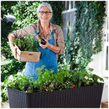 Dark Brown Easy Grow Planter Bed Brown with Water Gauge and Drainage System V178-69041