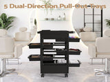 Embellir 6-Tier Salon Trolley Cart on Wheels Barber Mobile Hairdressing Cart SA-TR-6T-HOLL-BK