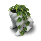 Urban Attitude Maggie Bulldog Planter - Matte White V398-UA-TH669WHT