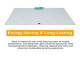 Full Spectrum Growth Quantum Board LED Indoor Plant Supplement 3000K 5000K IR UV Grow V1294-YM0901-L6817US