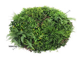 Slimline Artificial Green Wall Disc Art 100cm Country Fern UV Resistant V637-DP9966