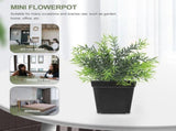 Succulent Planter Plastic Black for 100Pcs 2.8x2.7x2.2in V1370-AZ4-16788