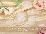 60Pcs Round Capiz Shells, 2inch Capiz Shells with 2 Holes, Blank Shell Pendants for Wedding Home V1370-AZ4-14810