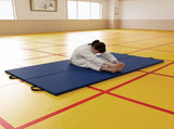 Folding Blue Exercise Mat Gymnastics, Martial Arts, Yoga, Karate & Judo Training V63-766465