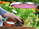 50W Indoor Plants LED Growing Light Full Spectrum Round Plant Grow Lamp V1294-YM0901-ZM01984-04