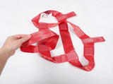 Portable Motorcycle Tail Cargo Tie Down Straps Red Durable Nylon with Easy Ratchet Use V1192-AZ-W-28346