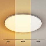 Leier Ceiling Light LED Round 46W Ultra-THIN 5CM Oyster Lamp Modern Cool/Warm CPL-C36W-R-BK