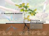 Tutuviw Non Woven Tree Ring, 24.4 inches Round Tree Base Weed Barrier Fabric Cover, Degradable and V1189-WXFWAL-20260319-00121